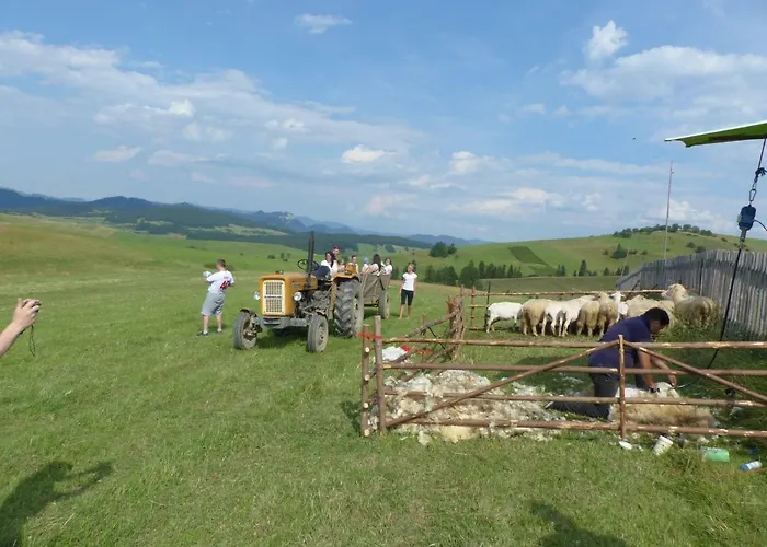 Marta Affittacamere Kacwin